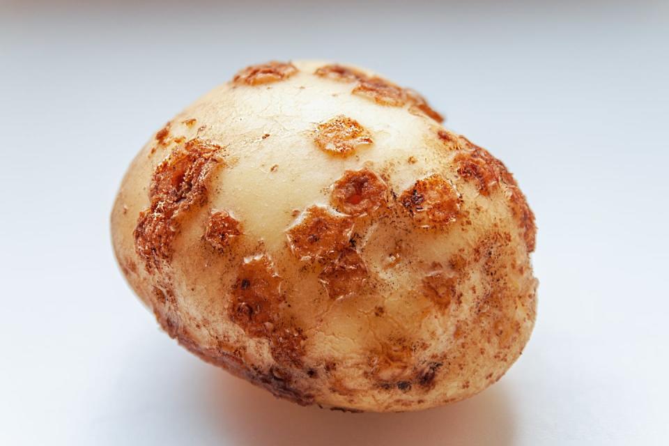 Powdery scab disease makes potatoes look distinctly unappetising. Shutterstock