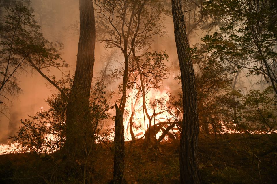 TOPSHOT - This photograph taken on September 2, 2023 shows a wildfire in the Dadia-Lefkimi-Soufli Forest National Park, near Alexandroupoli, northern Greece. Described as a 