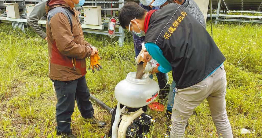 花蓮縣府獲報後趕緊灌注藥劑消滅紅火蟻。（圖／花蓮縣府農業處提供）