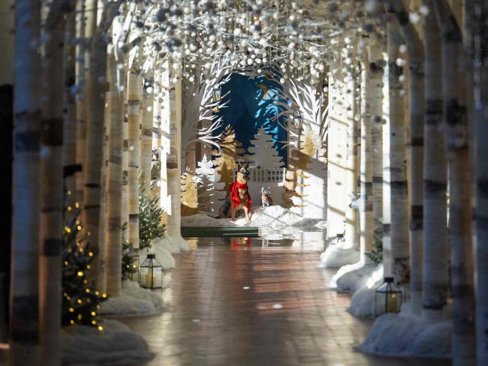 The East Colonnade is decorated during a media preview for the 2022 Holidays at the White House in Washington, DC, November 28, 2022.