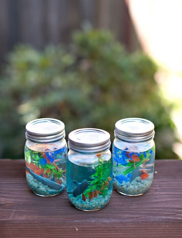 summer activities three mason jar aquariums