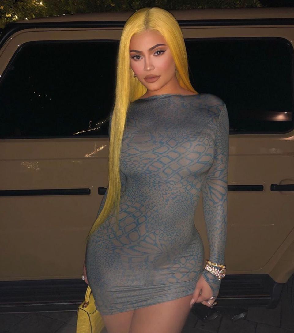 Kylie Jenner poses in a dress