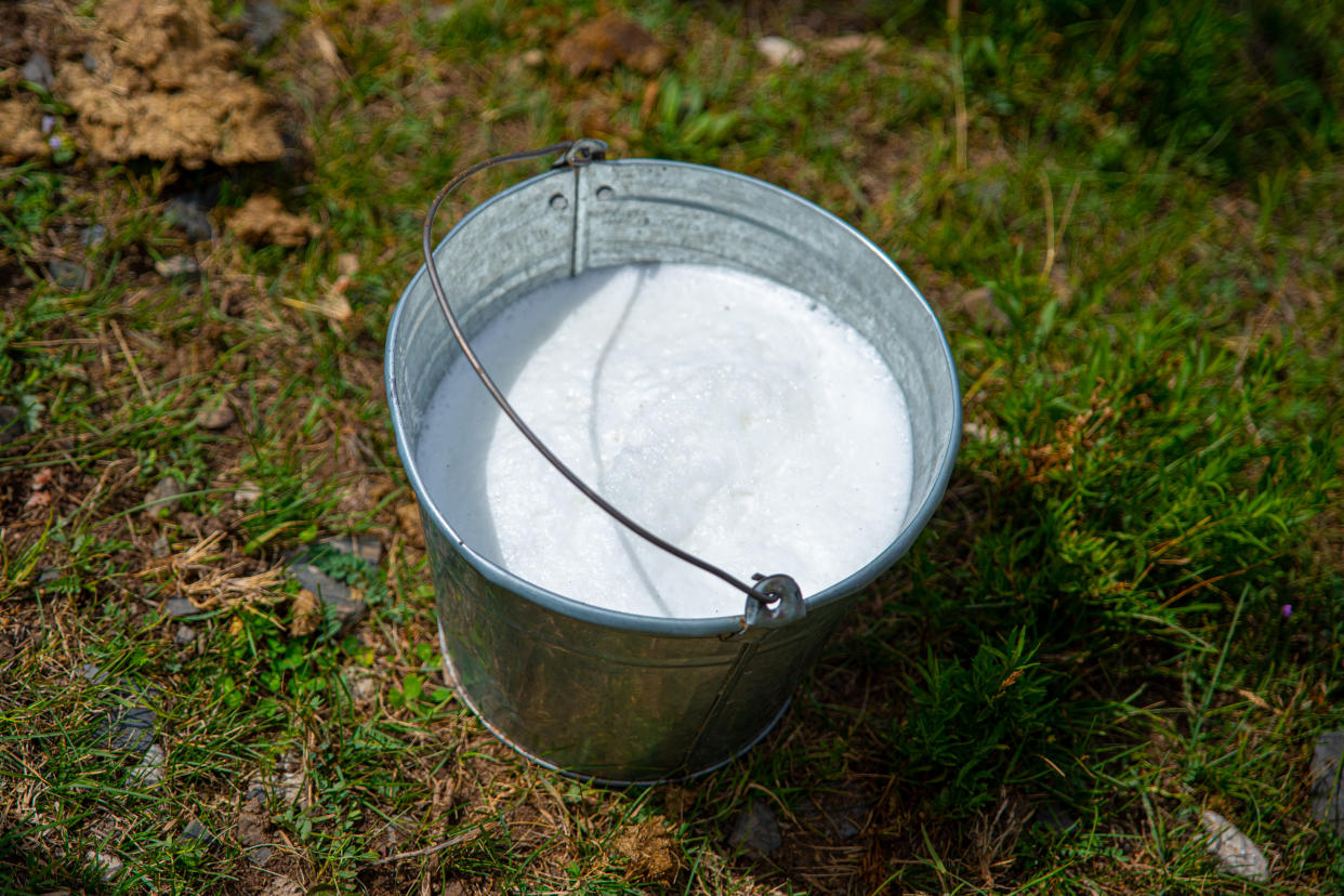 Fresh horse milk in the Alai valley, Osh Province, Kyrgyzstan - July 20, 2021