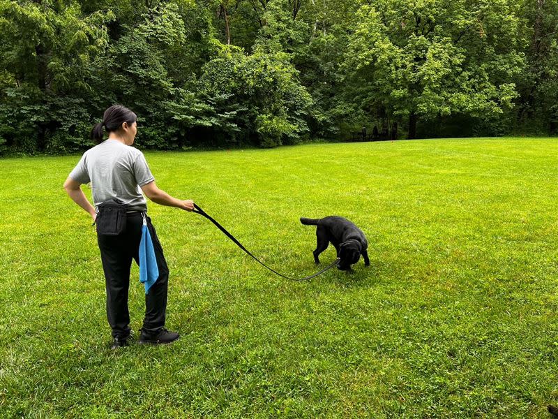 電子產品偵測犬晶圓。（圖／保三總隊提供）