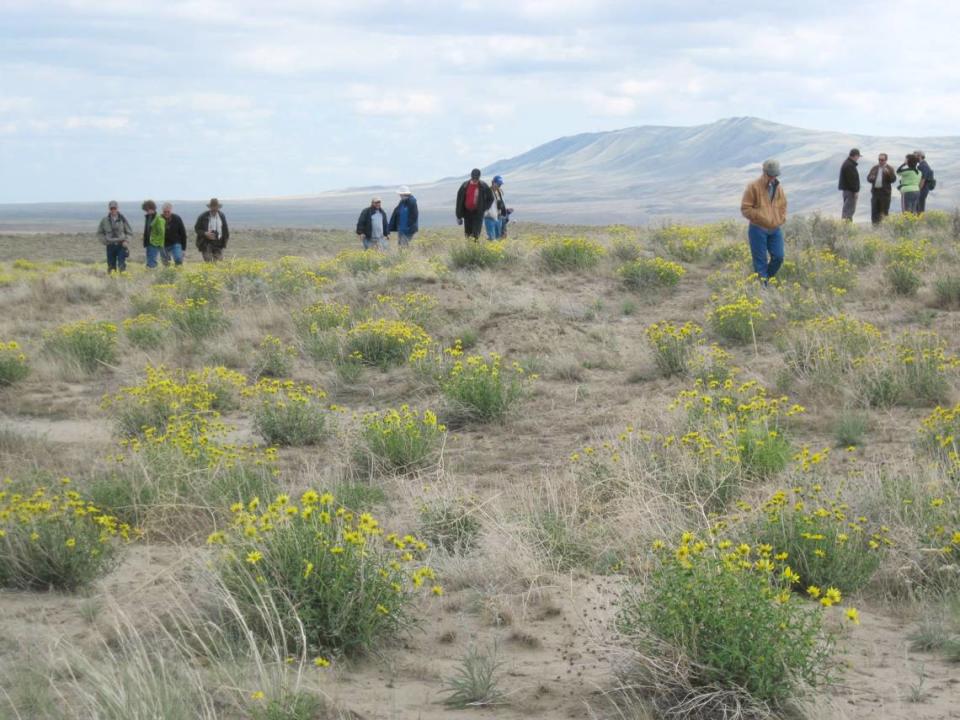 U.S. Fish and Wildlife officials took visitors onto a section of the Hanford Reach National Monument usually closed to the public to see the brief 2012 spring bloom of desert wildflowers. The tour did not include the top of Rattlesnake Mountain.