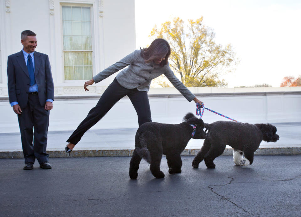 First lady Michelle Obama is pulled away by her dogs Bo and Sunny, after welcoming the official White House Christmas tree to the White House Nov. 27, 2015. This year’s tree, which will be on display in the Blue Room, was presented by Glenn Bustard, left, from Bustard’s Christmas Trees in Lansdale, Pa. (Photo: Pablo Martinez Monsivais/AP)