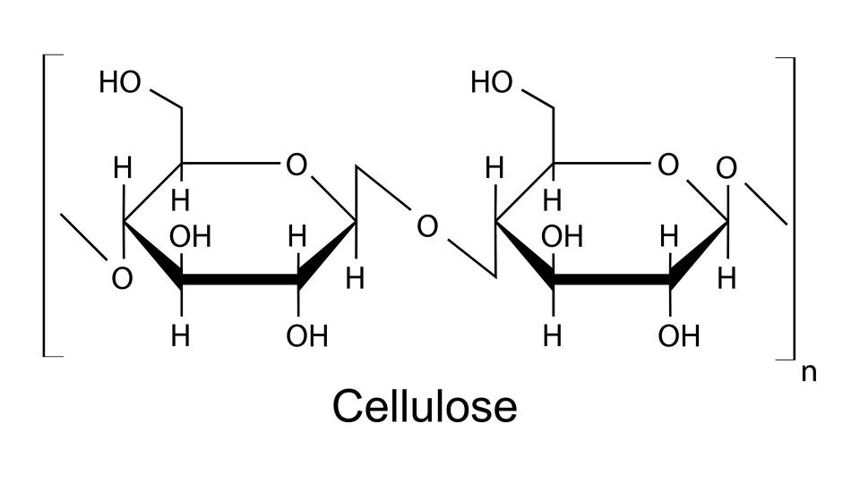The structural chemical formula of the cellulose polymer.