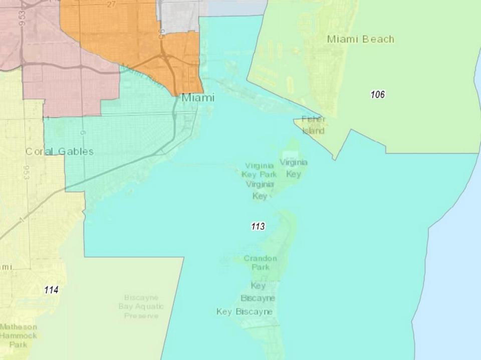 Distrito 113 de la Cámara de Representantes de la Florida