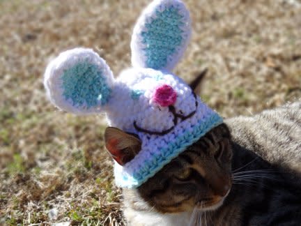 Bunny Bonnet