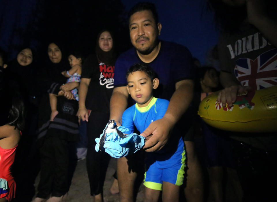 Guests of Swiss-Garden Beach Resort Damai Laut releasing turtle hatchlings as part of the resort’s effort to ensure its survival. — Picture by Farhan Najib