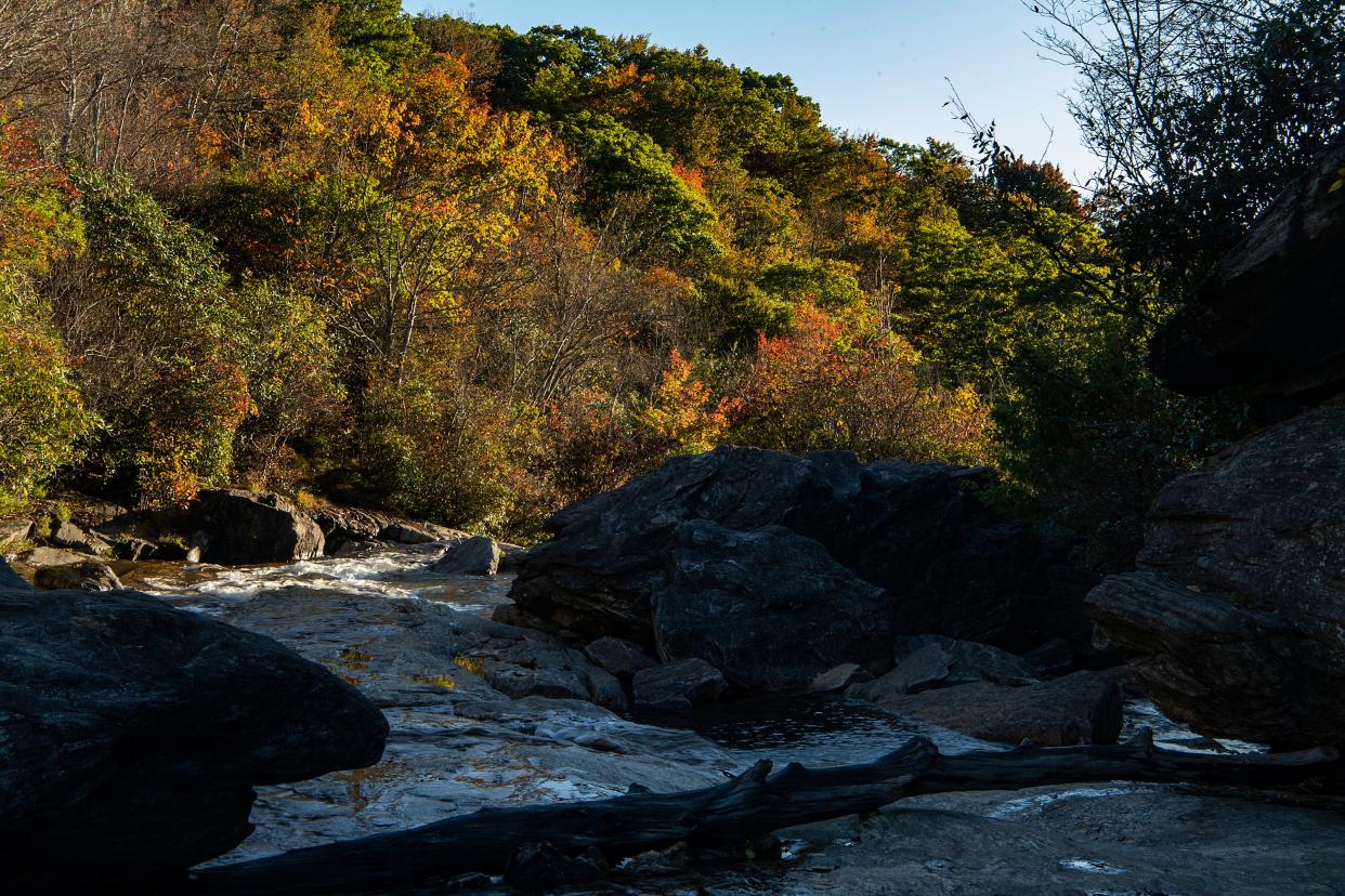 The leaves begin to show their fall colors at Graveyard Fields on the Blue Ridge Parkway on Sept. 30, 2020.