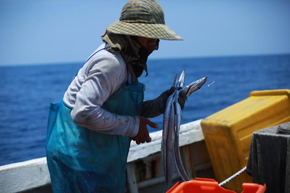 漁獲捕撈上船後，要馬上進行分類，一些經濟價值高的漁獲趁還新鮮時就要開始著手保鮮動作，回到漁港品質與價格才會高。