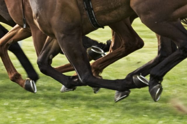 horses hooves taken at horse race