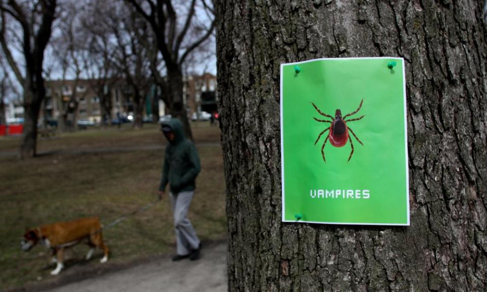 A Lyme disease awareness poster in the Plateau of Montreal, Quebec.