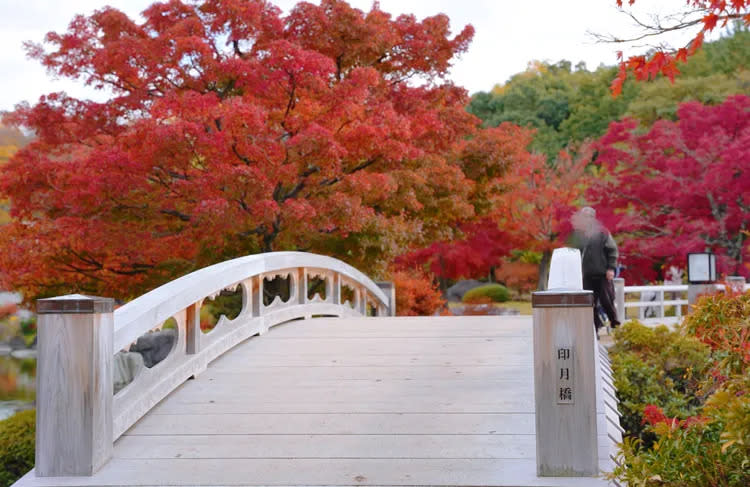 庭園的紅葉雖然不若其他名所般密集，但搭配造景，拍起照來也是相當好看。黃盈甄攝