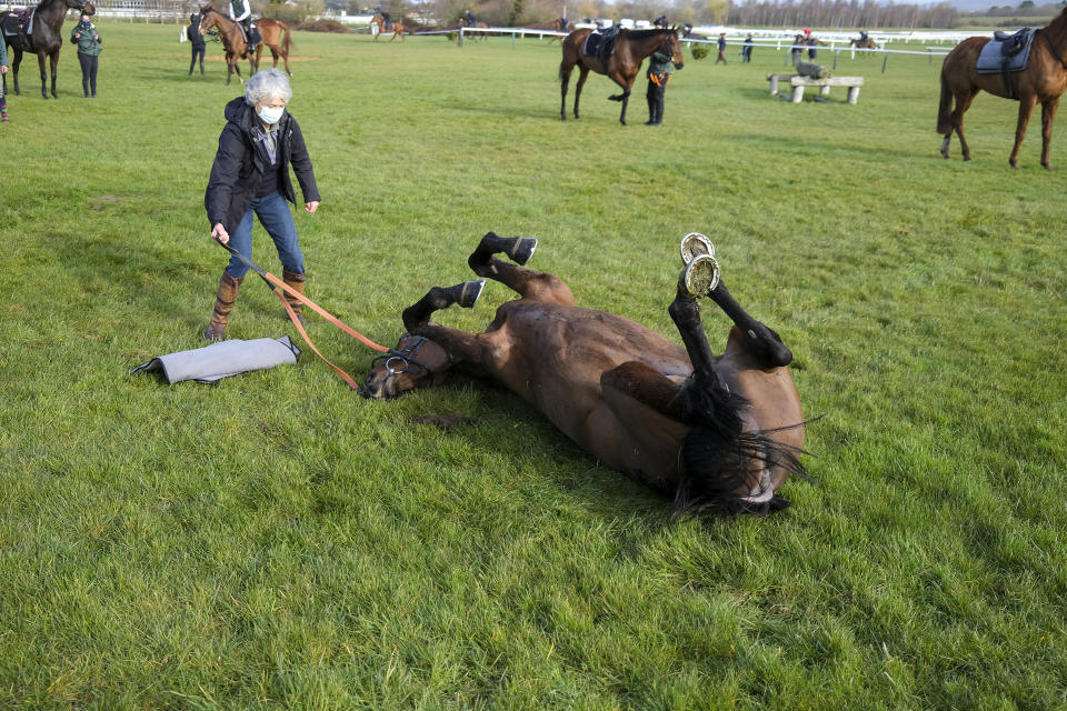 <p>CHELTENHAM, ENGLAND - MARCH 15: Jackie Mullins hangs onto Sharjah as it takes a roll at Cheltenham Racecourse on March 15, 2021 in Cheltenham, England. (Photo by Alan Crowhurst/Getty Images)</p>
