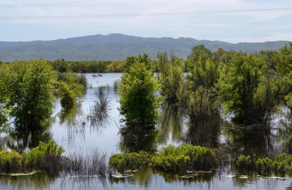 San Joaquin River National Wildlife Refuge is expected to remain flooded for several months. Photographed in Vernalis, Calif., Friday, April 21, 2023.