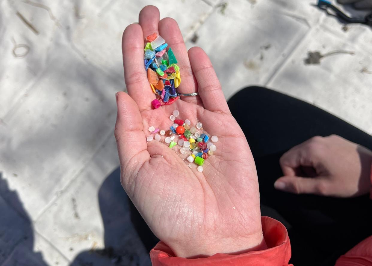 A Cleanup Club volunteer's hand is filled with microplastics and macroplastics collected at Sterling State Park's beach cleanup in Monroe.