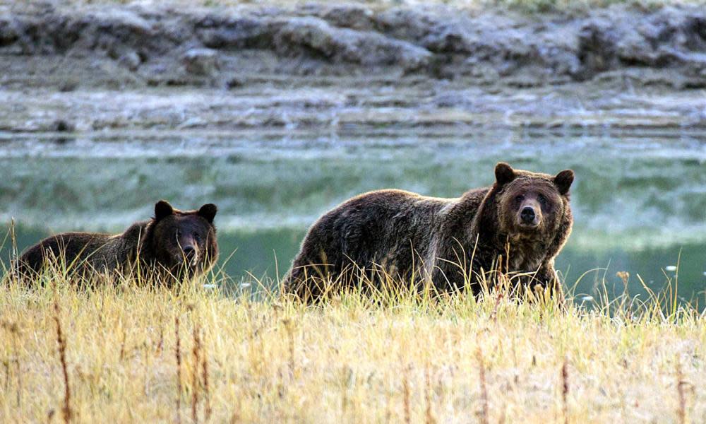 <span>Photograph: Karen Bleier/AFP/Getty Images</span>