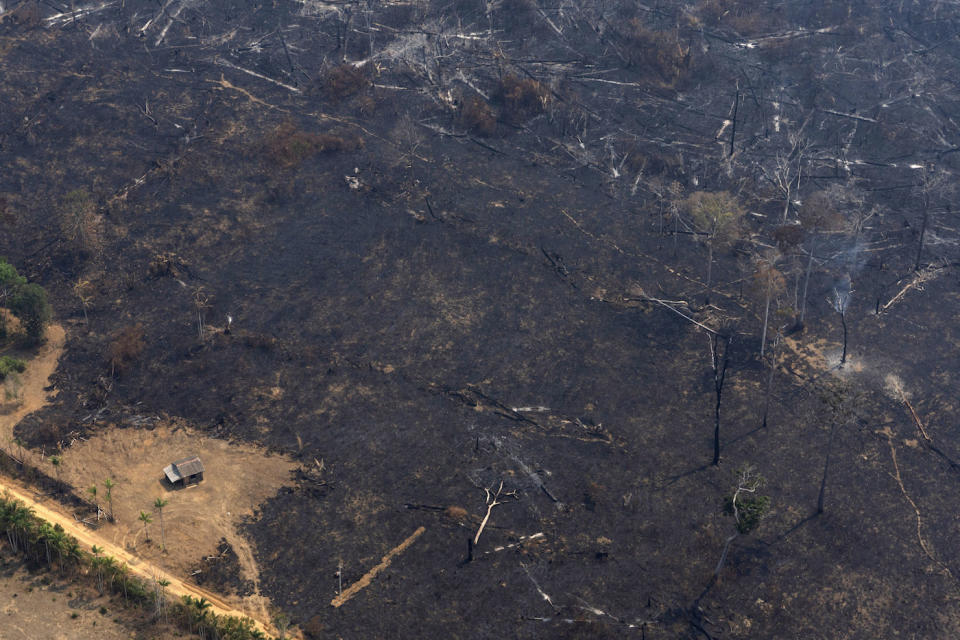 A house is seen surrounded by land scorched by wildfires near Porto Velho in Brazil (Picture: AP)