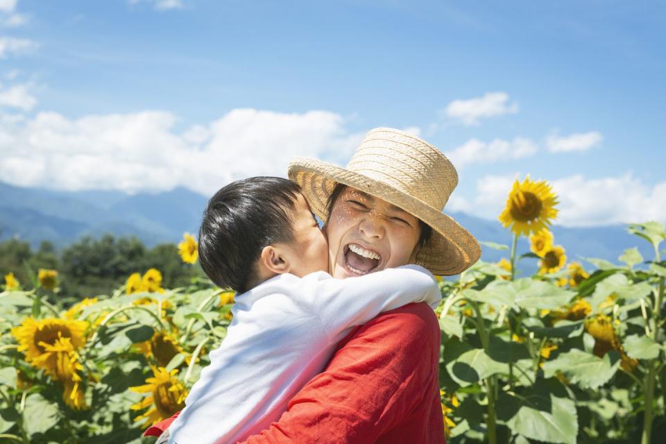 summer activities sunflowers