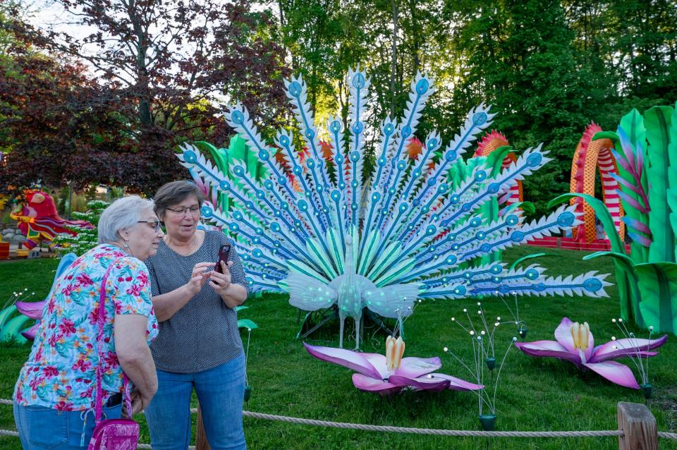 Darlene Franklin, 66, of Owosso, left, looks at a photo taken by her friend Julie Leggett, 64, of Bay City, as they begin their journey at dusk to experience the Grand Rapids Lantern Festival at the John Ball Zoo in Grand Rapids on Wednesday, May 8, 2024.