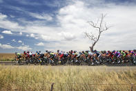 ADELAIDE, AUSTRALIA - JANUARY 17: (EDITORS NOTE: A polarizing filter was used for this image.) Riders compete on the road between Templers and Freeling in South Australia during stage one of the 2012 Tour Down Under on January 17, 2012 in Adelaide, Australia. (Photo by Morne de Klerk/Getty Images)