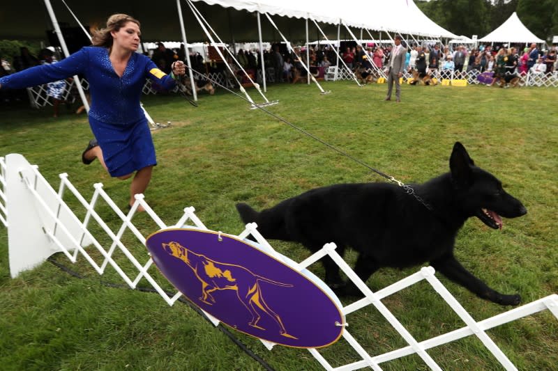 The 145th Westminster Kennel Club Dog Show at Lyndhurst Mansion in Tarrytown, New York