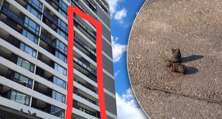 Left: Highlighted apartment balconies at the Union apartments in Newstead. Right: A file picture of dog faeces.