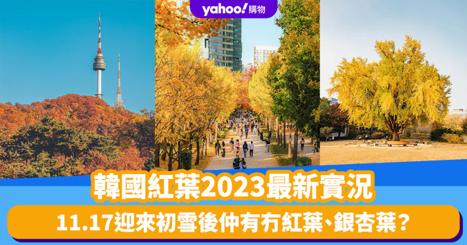 韓國紅葉2023｜韓國賞楓熱點最新實況！11.17迎來初雪後仲有冇紅葉、銀杏葉？