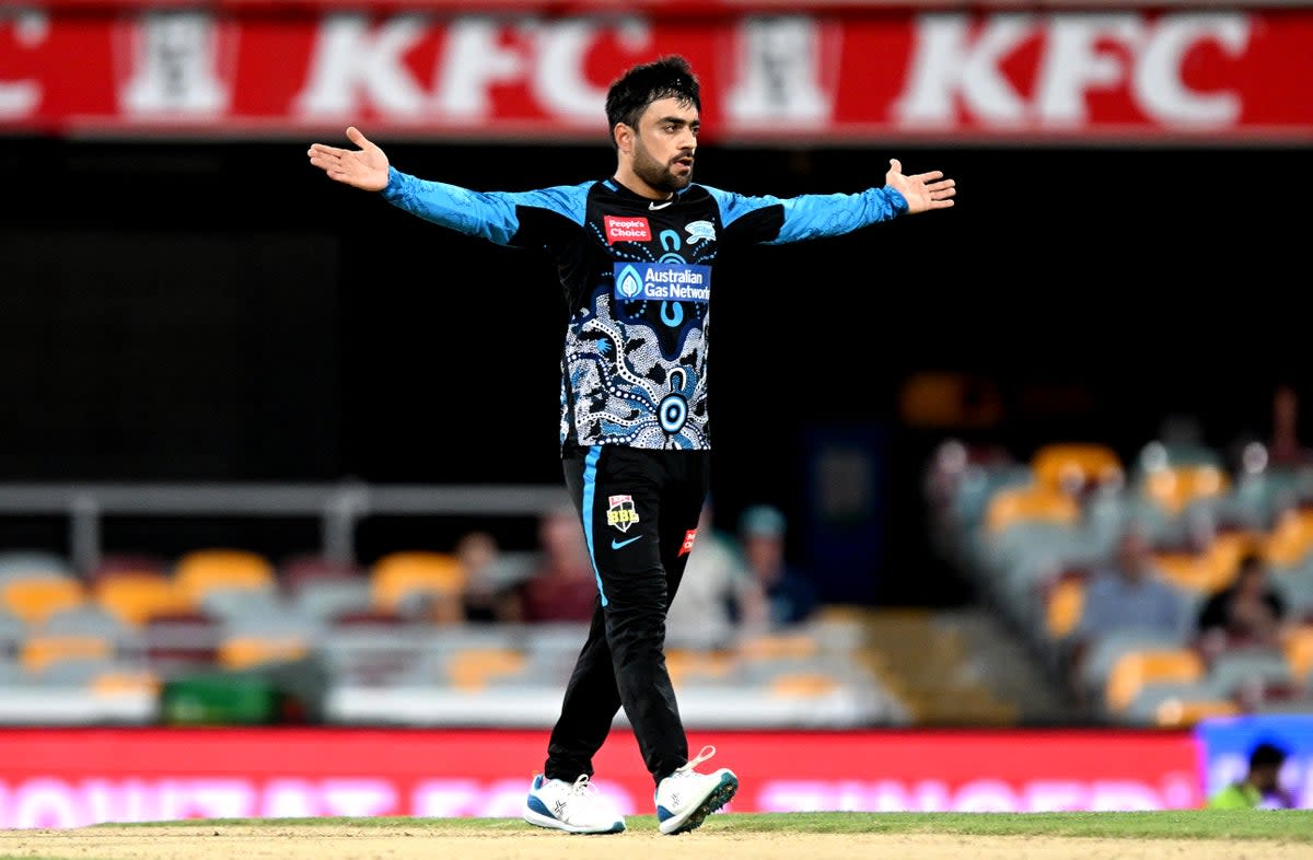 Rashid Khan was ‘really disappointed’ by Cricket Australia’s withdrawal from the series (Getty Images)