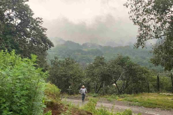 Los poblados que forman parte de la comunidad indígena de Ayotitlán están dispersos en la Sierra de Manantlán. 