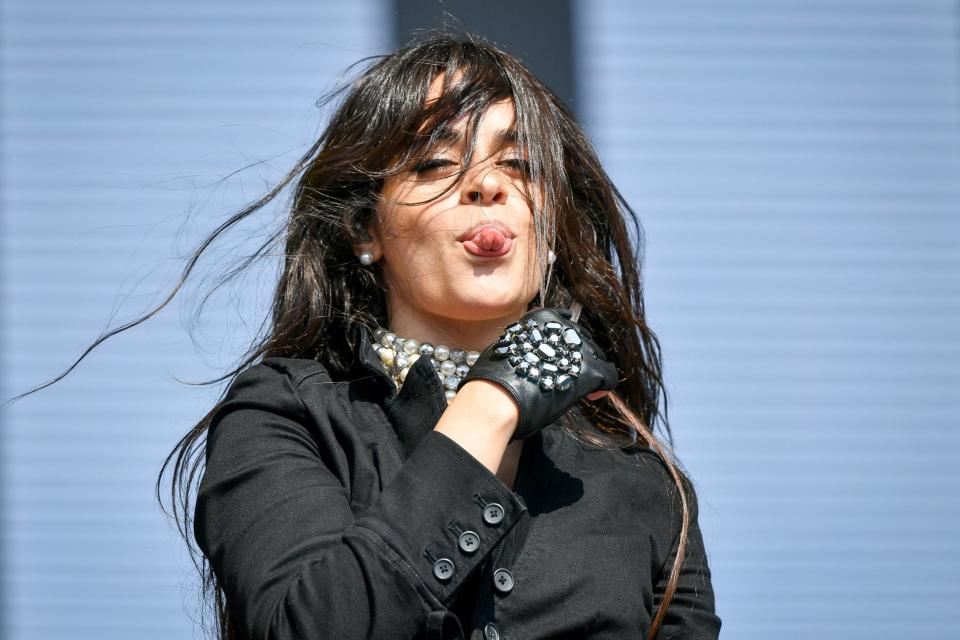 <p>Watt co-wrote Camila Cabello’s hit Havana</p> (PA)