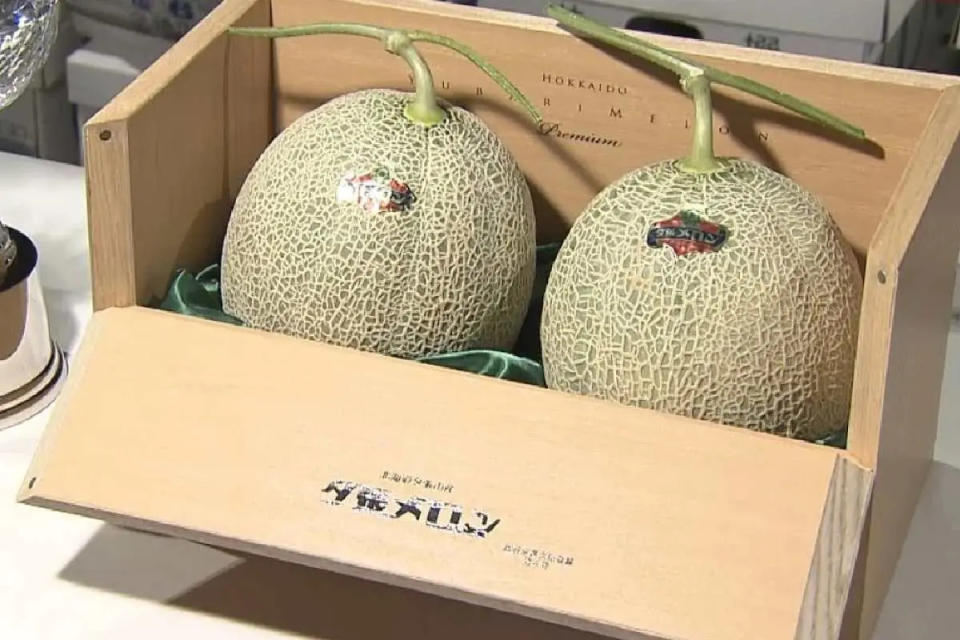 El melón de yubari se cultiva en la isla Hokkaido y es uno de los alimentos más caros del mundo. Foto: cucinare.tv