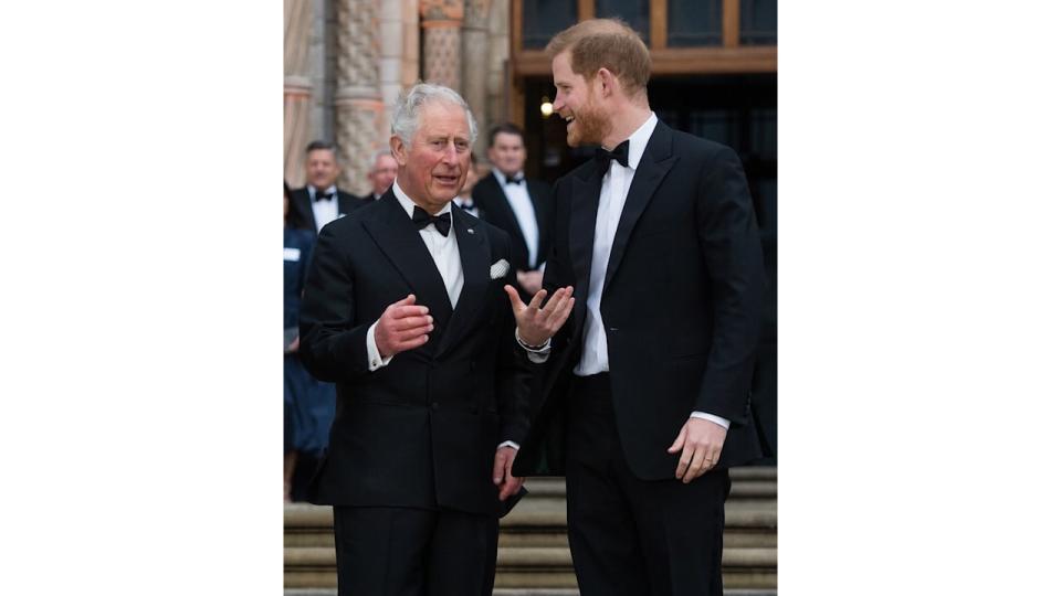 King Charles and Prince Harry in suit