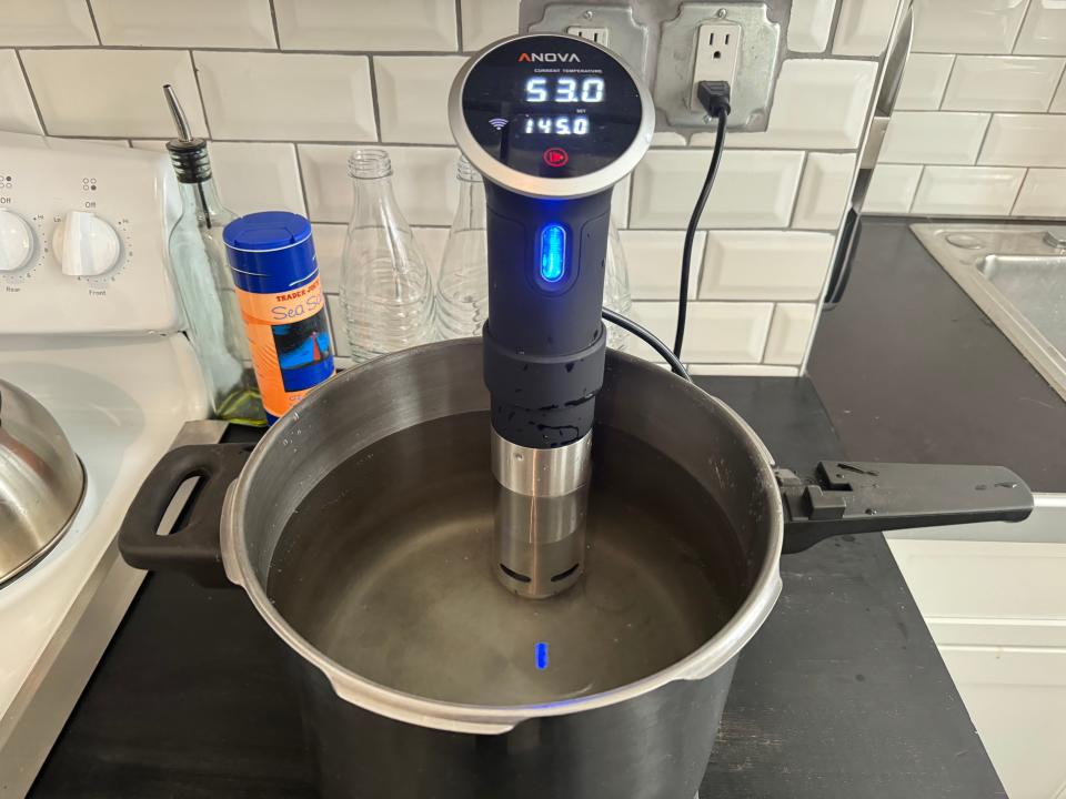 sous vide cooker in a pot full of water