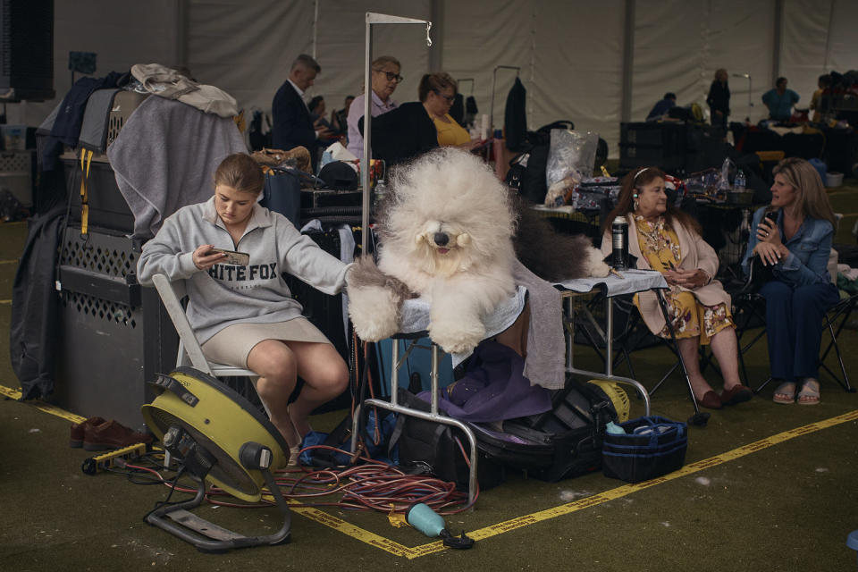 A fluffly white dog rests on a table. (Andres Kudacki / Getty Images)