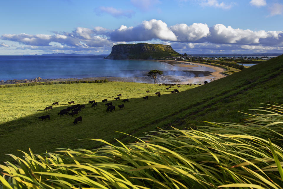 Farmland and the sea in Tasmania.