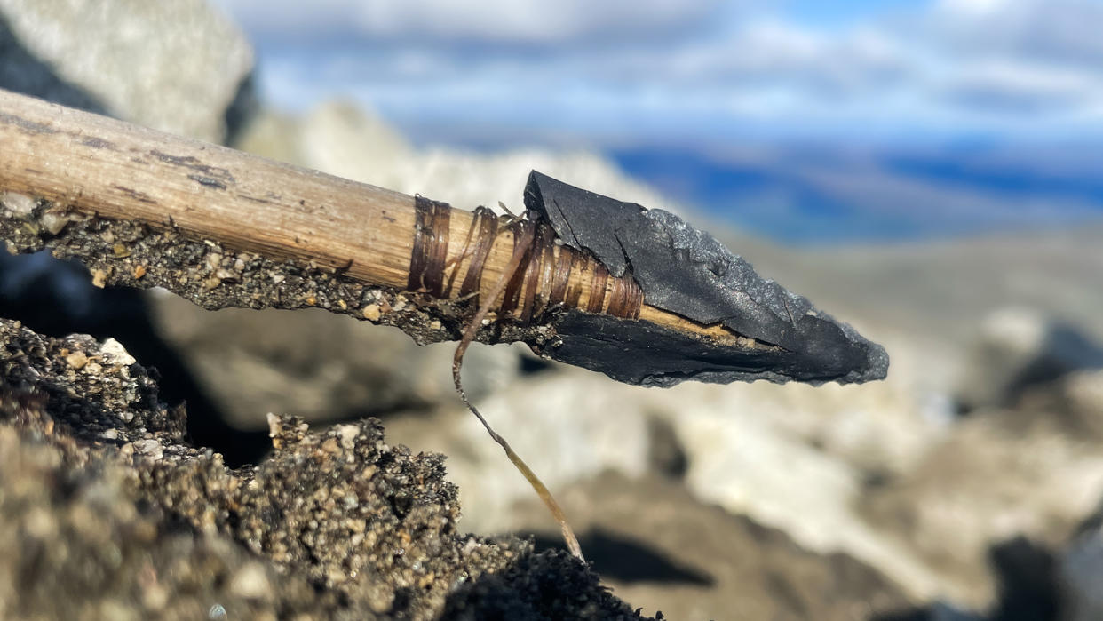  We see a wooden arrow shaft with a black point on a mountainous landscape. 