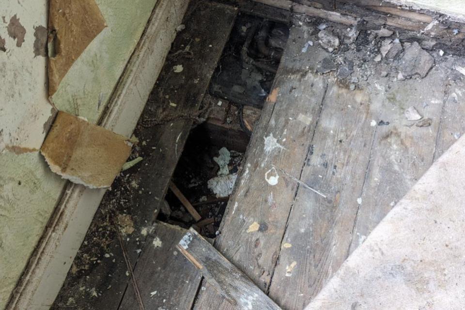 The Northern Echo: It is believed Felix was living under a gap in the floorboards