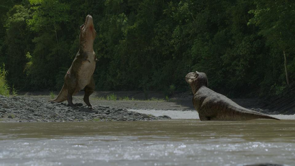 The male signals that he's more interested in mating.