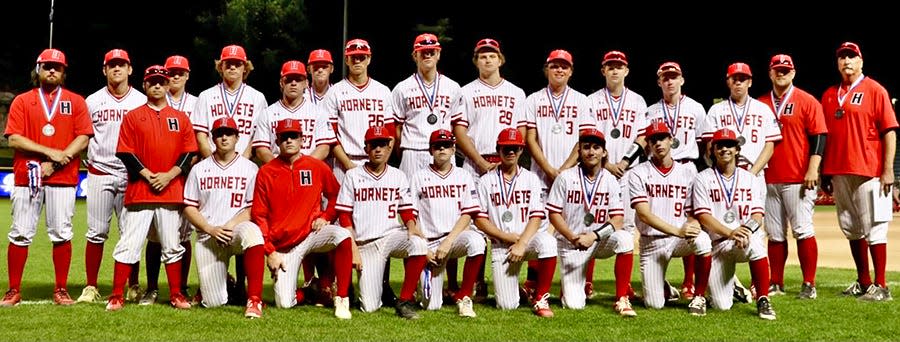 Honesdale's varsity baseball team had to settle for silver at the conclusion of the District 2 tournament. The Hornets suffered an 11-0 shutout at the hands of Dallas in the Class 4A championship game. Coach Ernie Griffis' lads now must face Montoursville in a play-in game for a spot in the PIAA state tournament.