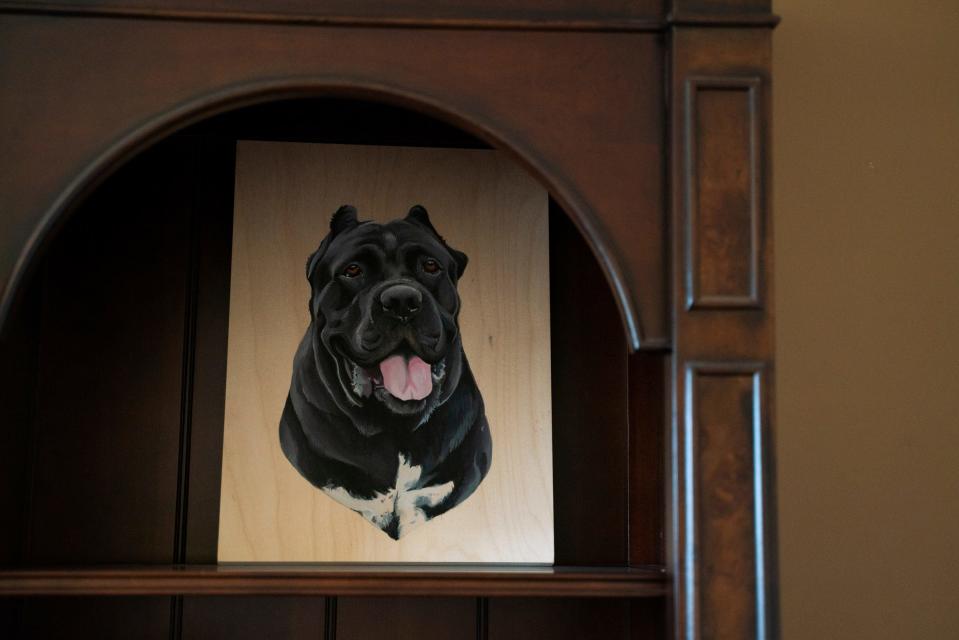 A painting of one of the Ruvio's cane corso dogs is displayed on a shelf inside an office at their home in Williamston on March 8, 2023.