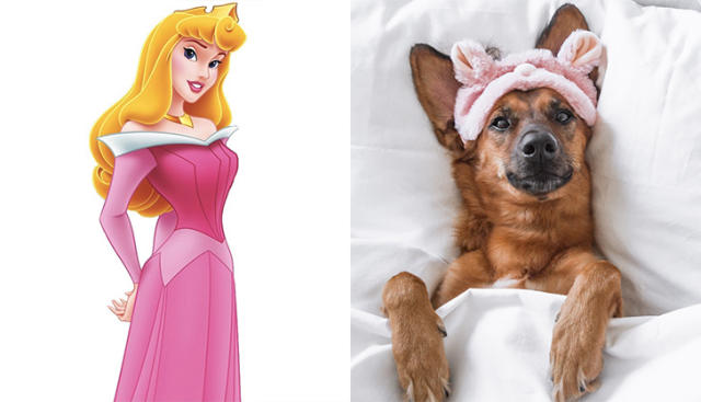 disney female dogs