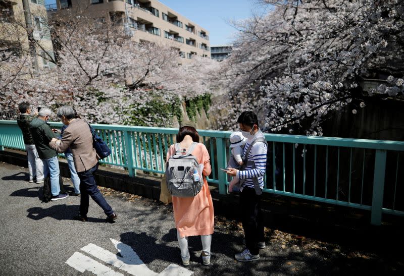 Passersby wearing protective face masks look at blooming cherry blossoms amid COVID-19 pandemic, in Tokyo