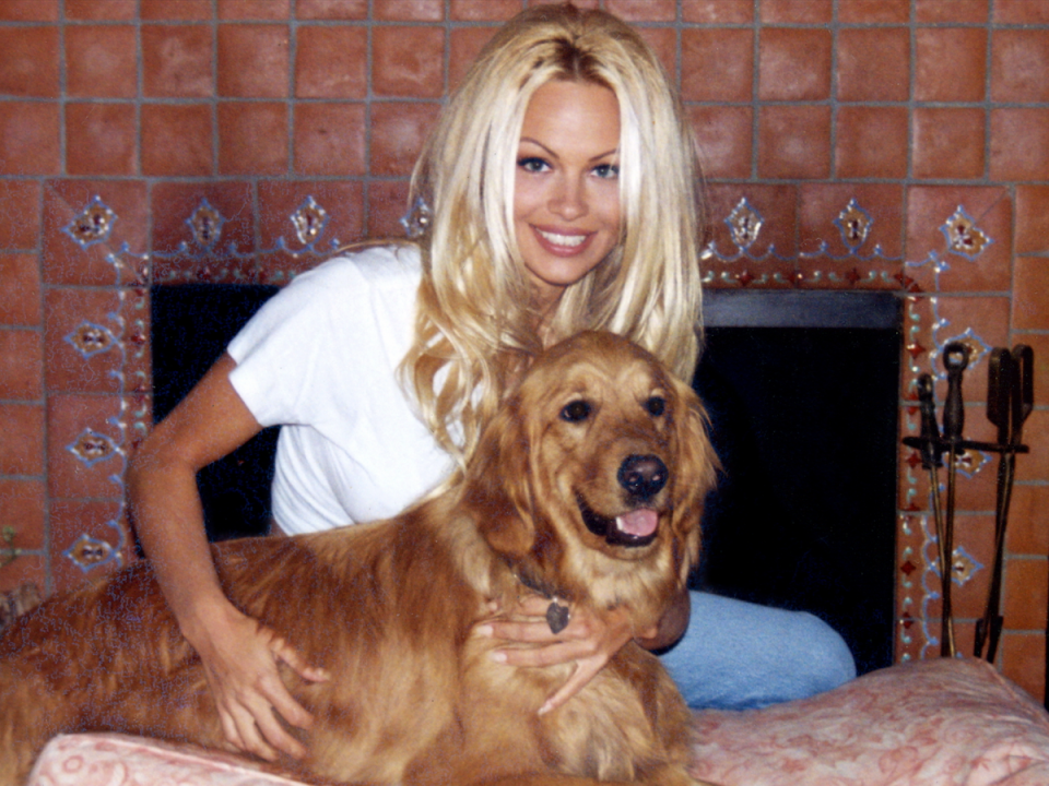Pamela Anderson with her Golden Retriever, Star (Netflix)