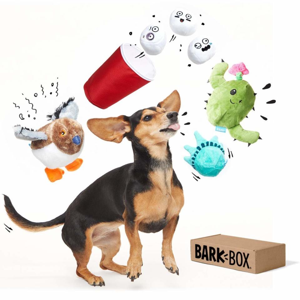 BarkBox Best of Box Plush Toy Bundle for Small/Medium Dogs