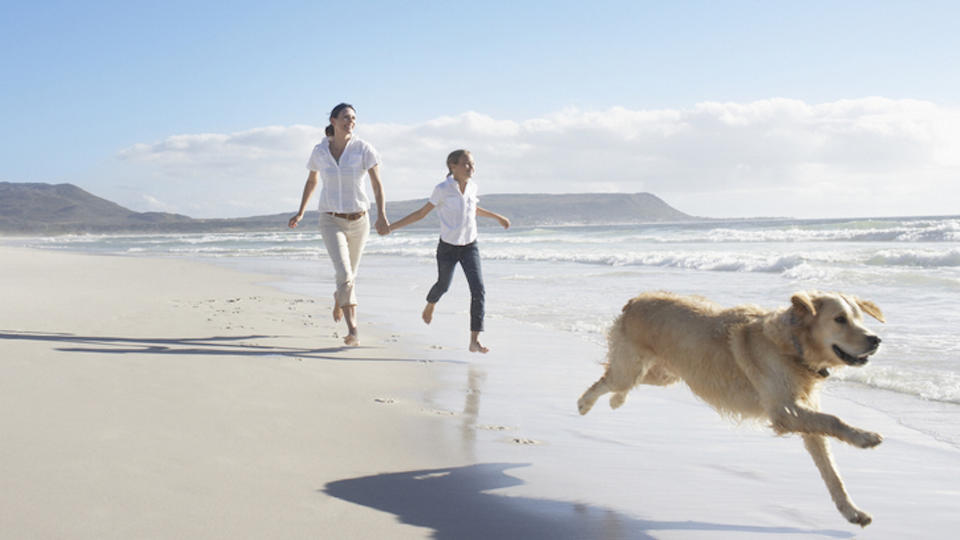 Mother and daughter running with dog on beach