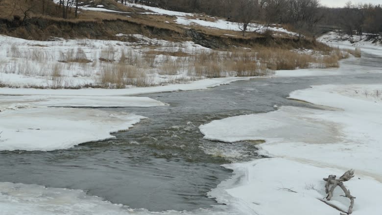 'It's coming': Southwestern Manitoba residents watch, wait as spring melt begins