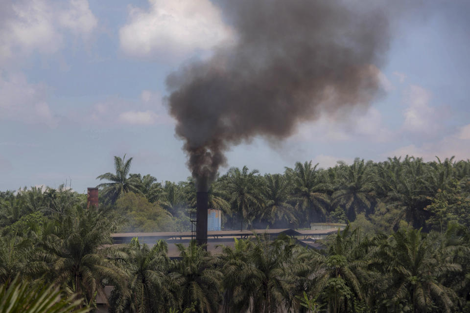 Smoke rises from a processing mill at a palm oil plantation in Sumatra, Indonesia, Saturday, Sept. 8, 2018. Though labor issues have largely been ignored, the punishing effects of palm oil on the environment have been decried for years. (AP Photo)